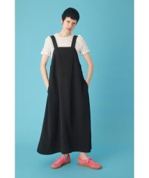 HeRIN.CYE(ヘリンドットサイ)/A－line jumper skirt/BLK