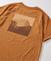 JOURNAL STANDARD/WEB限定 THE NORTH FACE / S/S Square Mountain Logo NT32377/506041372