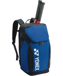 Yonex(ヨネックス)/Yonex ヨネックス テニス バックパックL  テニス2本用  BAG2408L/ブルー