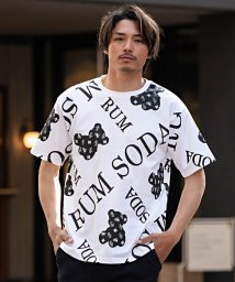 SB Select(エスビーセレクト)/RUMSODA パネルベアPTセミBIG半袖クルーTシャツ/ホワイト