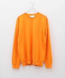 417 EDIFICE(フォーワンセブン　エディフィス)/【LOGAN】 SUPIMA COTTON クルーニット/オレンジ