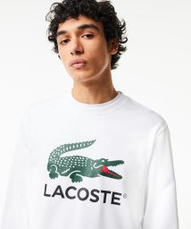 LACOSTE Mens(ラコステ　メンズ)/裏パイル エッセンシャルアイコングラフィッククルーネックスウェット/ホワイト