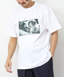 NOLLEY’S goodman(ノーリーズグッドマン)/GOODMAN CAT&DOG photo T－shirts フォトプリントTシャツ/オフホワイト