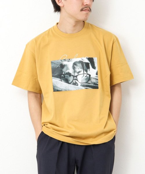 NOLLEY’S goodman(ノーリーズグッドマン)/GOODMAN CAT&DOG photo T－shirts フォトプリントTシャツ/マスタード
