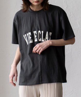 VitaFelice/カレッジロゴプリントＴシャツ レディース 半袖 レディース  トップス ロゴ プリント Tシャツ ワイドシルエット ステッチ クルーネック ベーシック シンプル/506040635