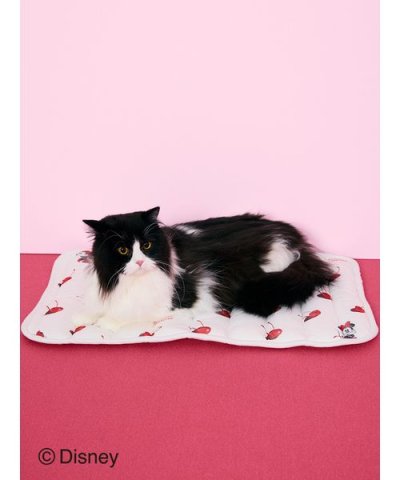 【CAT&DOG】【販路限定商品】Minnie/COOLマット