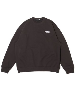 THE NORTH FACE/ザ・ノース・フェイス ネバー ストップ イング クルー/505984072