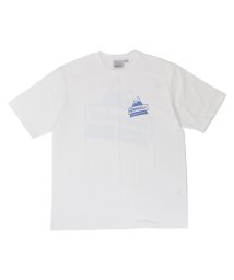 GRAMICCI(グラミチ)/グラミチ GRAMICCI Tシャツ 半袖 メンズ レディース PEAK TEE ホワイト ベージュ 白 G4SU－T078/ホワイト