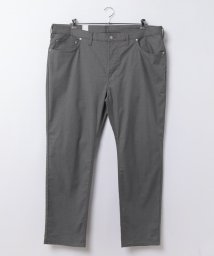 EDWIN/&INB 403 COOL        アサグレンチェックD.GRAY/505942832