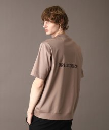 DRESSTERIOR(ドレステリア)/【接触冷感／抗菌防臭／消臭】ICE CLEAR COTTON オーバーフィットTシャツ/トープ（054）