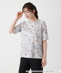 Leilian(レリアン)/Ｔシャツ【Leilian WHITE LABEL】/サックス