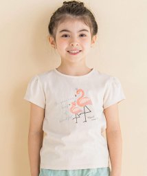 Noeil aime BeBe(ノイユ　エーム　べべ)/フラミンゴプリントTシャツ(80~130cm)/ベージュ