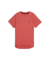 PUMA(PUMA)/ウィメンズ ランニング シーズンズ ウール 半袖 Tシャツ/ACTIVERED