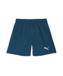 PUMA(プーマ)/メンズ サッカー INDIVIDUAL プーマフットボール アルティメット ショーツ/OCEANTROPIC