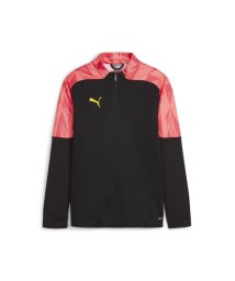 PUMA/キッズ サッカー INDIVIDUAL ファイナル 1/4 ジップトップ 120－160cm/506054711