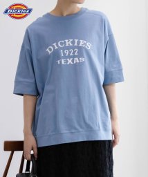 MAC HOUSE(women)(マックハウス（レディース）)/Dickies ディッキーズ 切替えルーズシルエットTシャツ 4282－9933/ブルー