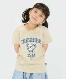 SHIPS Colors  KIDS(シップスカラーズ　キッズ)/《一部追加予約》SHIPS Colors:TeddyBear(R) プリント&ステッチ TEE(80~150cm)◆/ベージュ