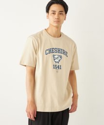 SHIPS Colors  MEN/SHIPS Colors:TeddyBear(R) プリント & ステッチ TEE◇/506055333