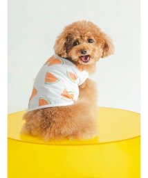 GELATO PIQUE CAT＆DOG/【CAT&DOG】【販路限定商品】フルーツ柄COOLプルオーバー/506055560