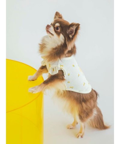 【CAT&DOG】【販路限定商品】小花柄COOLプルオーバー