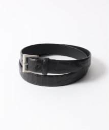 EDIFICE/THE SOLE (ザ ソール) Crocodile Dress Belt CLASSIC－CR/506055631