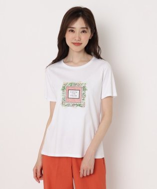 CORDIER/艶感コットンスムース プリントTシャツ/506055859