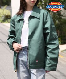 Dickies(Dickies)/【Dickies / ディッキーズ】JACKET FQ アウター ジャケット ブルゾン フロントジップ ワンポイント ステンカラー JT75/グリーン