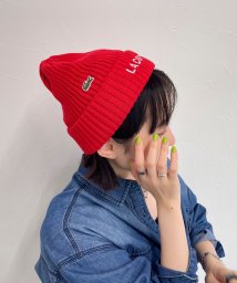 fredy emue/【LACOSTE/ラコステ 】ロゴ刺しゅうニットキャップ/506034281