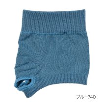 dotfukuske(．ｆｕｋｕｓｋｅ)/.fukuske(ドット福助) ： 無地 パーツソックス トングタイプドライ素材(3130－074) 婦人 女性 レディース 靴下 フクスケ fukuske 福/ブルー