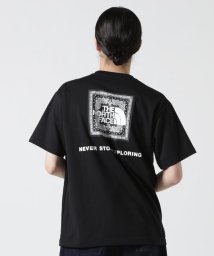 BEAVER(ビーバー)/THE NORTH FACE/ザ・ノースフェイスS/S Bandana Square Logo Tee/ブラック