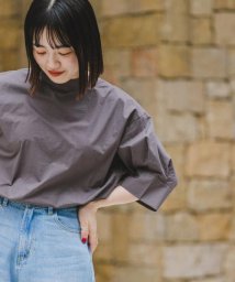 ITEMS URBANRESEARCH(アイテムズ アーバンリサーチ（レディース）)/5ブソデハイネックブラウス/CHA