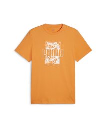 PUMA(PUMA)/メンズ ESS+ パーム リゾート グラフィック 半袖 Tシャツ/CLEMENTINE
