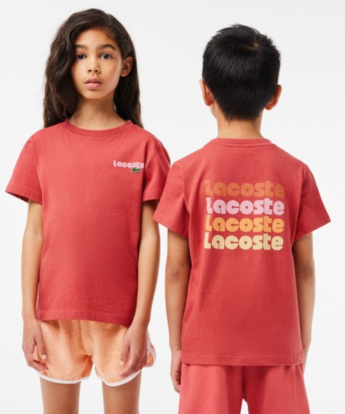 LACOSTE KIDS(ラコステ　キッズ)/ポップフォントロゴネームバックプリントTシャツ/ローズ