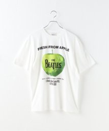 JOINT WORKS/【THE BEATLES/ビートルズ】 APPLE/506061535