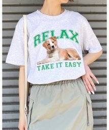RAD CHAMP/RELAX シートプリントTシャツ/506058911
