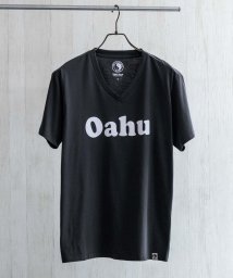 MAC HOUSE(men)/T&C Surf Designs ティー＆シー サーフ デザインズ ハワイVネックショートスリーブTシャツ QMH/03927SS/506062822