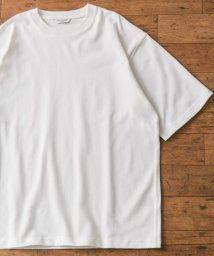 URBAN RESEARCH DOORS(アーバンリサーチドアーズ)/USAコットン ショートスリーブ Tシャツ/WHITE