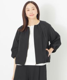 S.ESSENTIALS/シアーシルクブルゾン/505917724