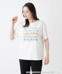 Leilian PLUS HOUSE(レリアンプラスハウス)/Ｔシャツ【Leilian WHITE LABEL】/アイボリー