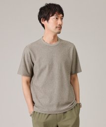 TAKEO KIKUCHI(タケオキクチ)/【尾州織/Made in JAPAN】メランジ Tシャツ/トープ（054）