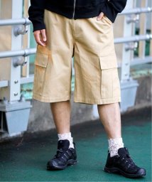 PULP(パルプ)/【AFB / エーエフビー】BAGGY SHORTS/ベージュ