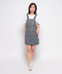 Lee/#LEE GOLF            OVERALL SKIRT/505943338