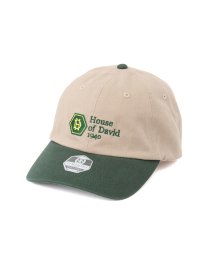 JUNRed(ジュンレッド)/【 TAMANIWA×NEGRO LEAGUE / タマニワ×ニグロリーグ 】TWILL OLD CAP/グリーン（30）