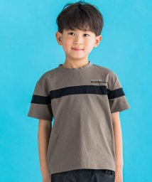 BeBe Petits Pois Vert(ベベ プチ ポワ ヴェール)/切り替えバイカラーTシャツ(95~150cm)/グリーン