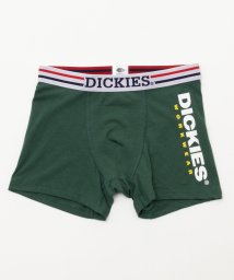 MAC HOUSE(men)(マックハウス（メンズ）)/Dickies ディッキーズ サイドロゴボクサーパンツ 80374500/グリーン