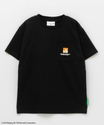 MAC HOUSE(kid's)(マックハウス（キッズ）)/Minecraft マインクラフト 刺繍Tシャツ MM2655/少年アバター