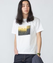 SHIPS MEN/SHIPS: Sheila Rock HOTEL フォト プリント Tシャツ/506066993