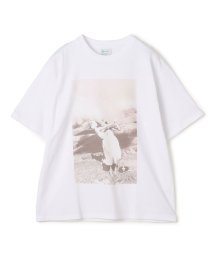 TOMORROWLAND BUYING WEAR/THE INTERNATIONAL IMAGES COLLECITON コットン Tシャツ/506077068