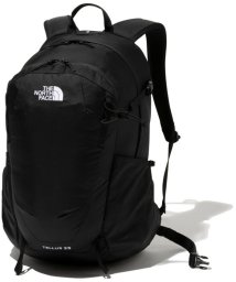 THE NORTH FACE/THE　NORTH　FACE ノースフェイス アウトドア テルス25 Tellus25 リュック バックパッ/506077071