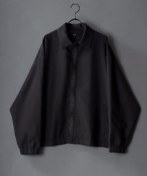 SITRY/【SITRY】Fly front stitch blouson/比翼 フロント刺繍 ブルゾン/505245883